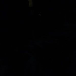 Meet your Posher, Annabelle